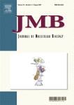 JMB Cover